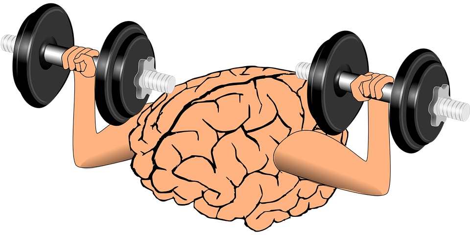 تاثیر ورزش بر رشد مغز